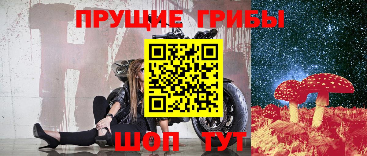 Галлюциногенные грибы Psilocybe  Псилоцибиновые грибы Psilocybine cubensis  Вход с VPN  Кумертау 